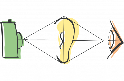 Logo TFBS FOH